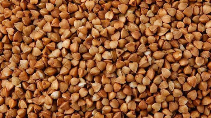 grano