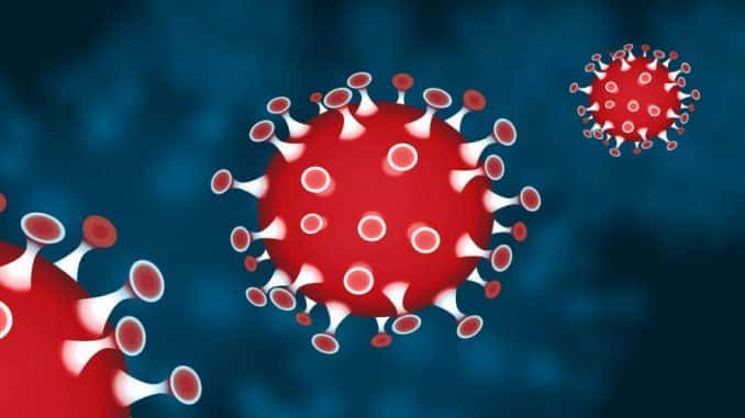 coronavirus-6