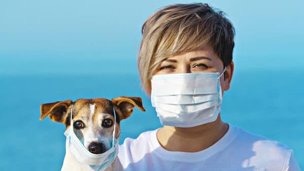 UNC_coronavirus-animali-domestici