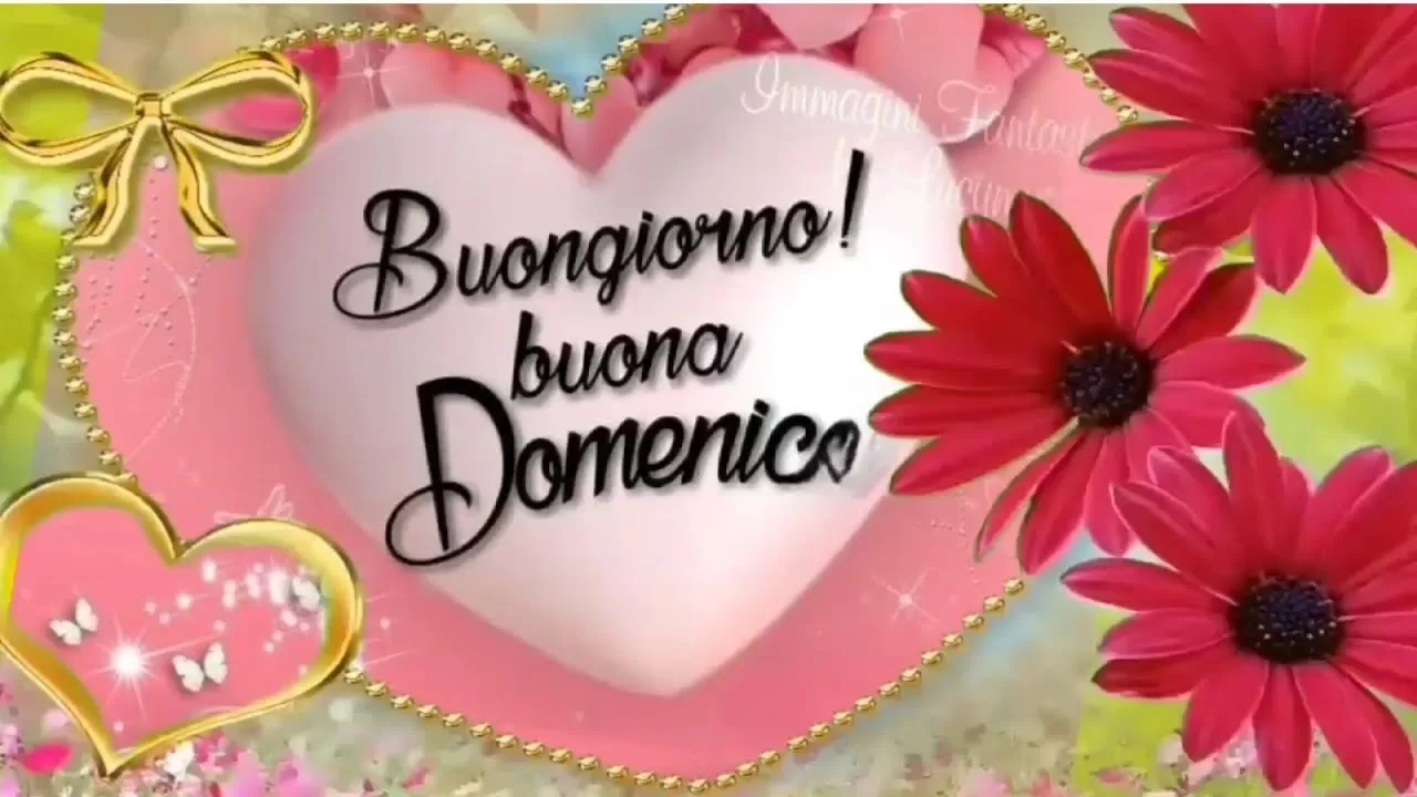 Buongiorno buona domenica 11 febbraio 2024 frasi e immagini da non