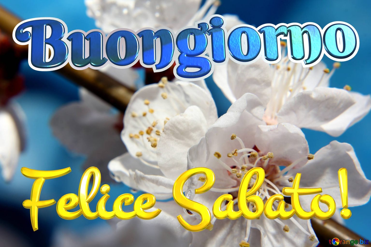 Frasi e immagini Buongiorno Buon sabato 28 dicembre 2024 da inviare
