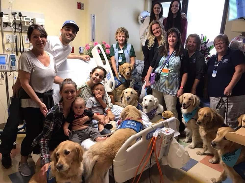 Comfort Dogs Helped People With The Trauma Of The Las Vegas Shooting