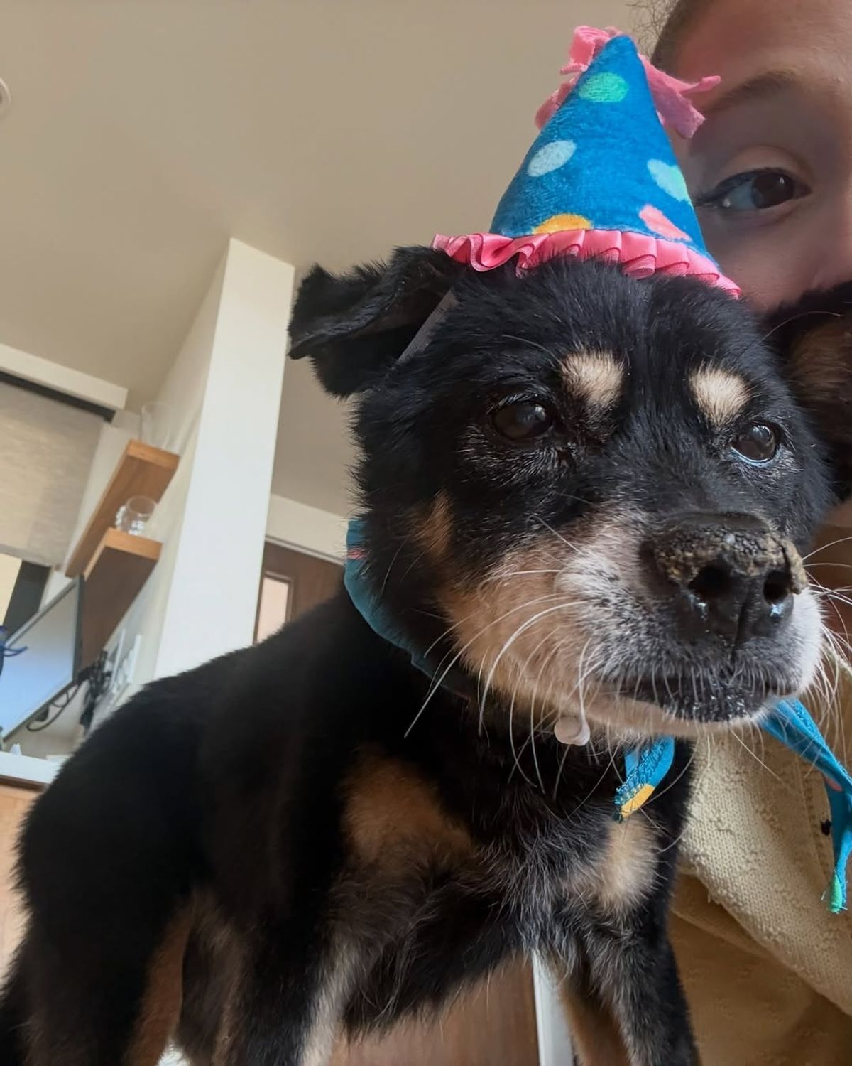 She has had Coco for 17 years